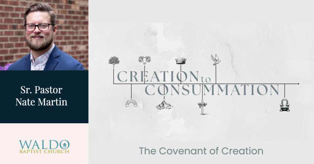 The Covenant of Creation Image