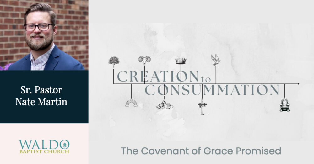 The Covenant of Grace Promised Image